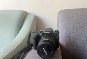 stock