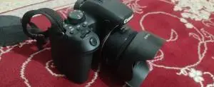 stock
