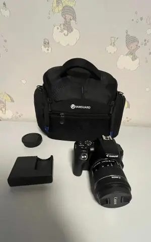stock