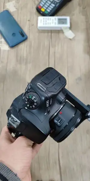 stock