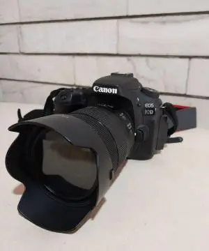 stock