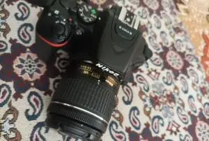 stock
