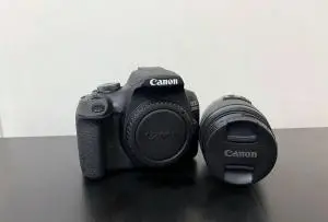 stock