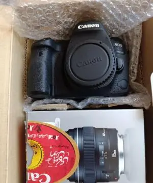 stock