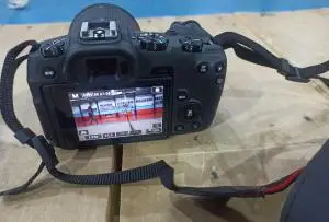 stock