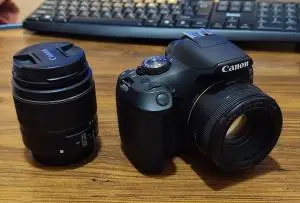 stock