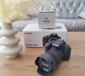 stock