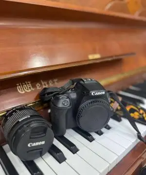 stock