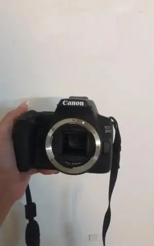 stock