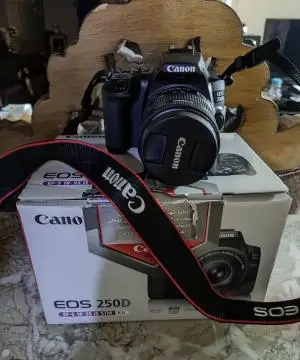stock