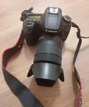 stock