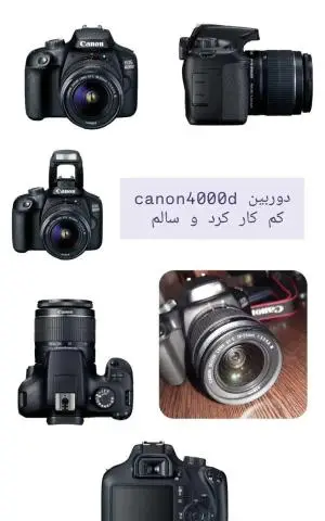 stock