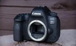 stock
