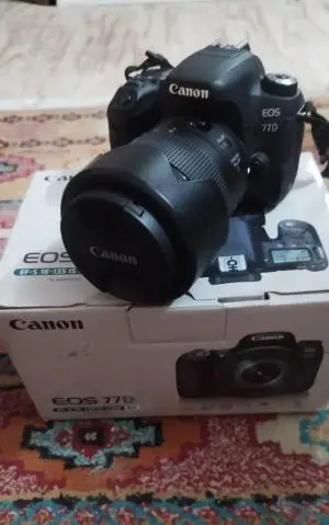 stock