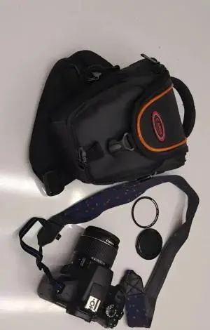 stock