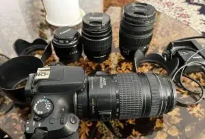 stock