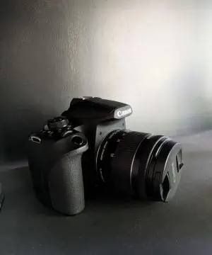stock