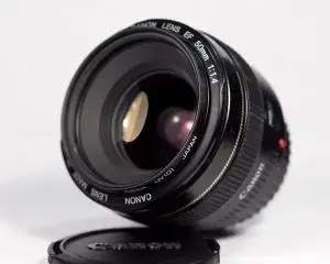 stock