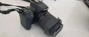 stock