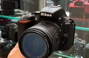 stock
