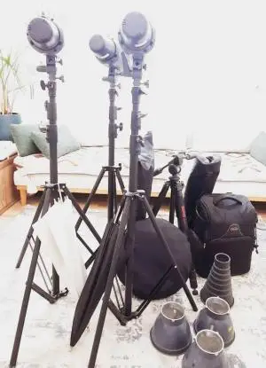 stock