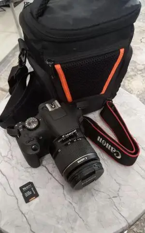 stock