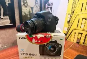 stock