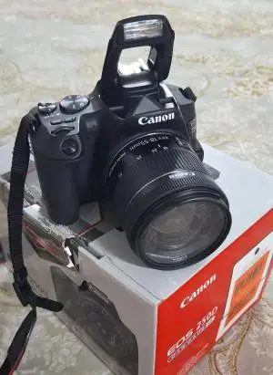stock