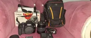 stock