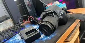 stock