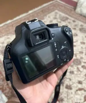 stock