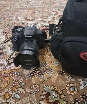 stock