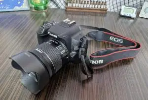 stock