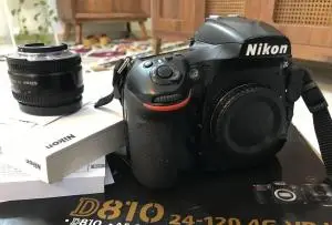 stock
