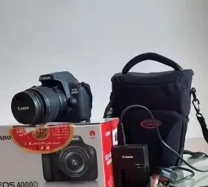 stock