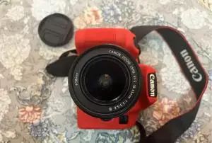 stock
