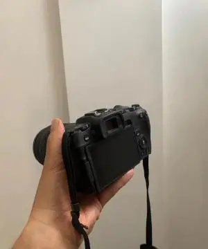 stock