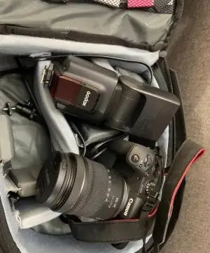 stock