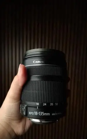 stock