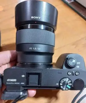 stock