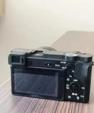 stock