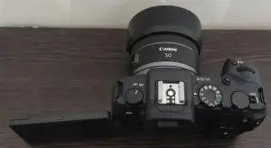 stock