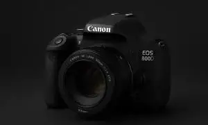 stock