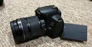 stock