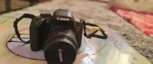 stock