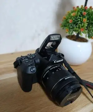 stock