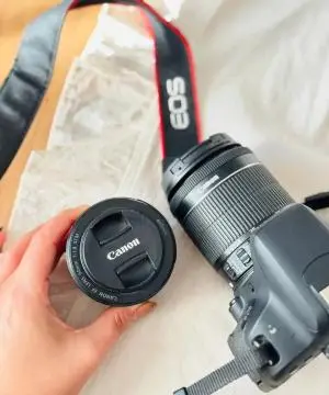 stock