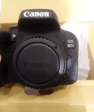 stock