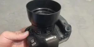 stock