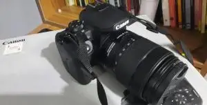 stock